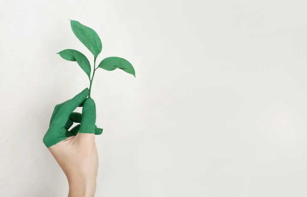 WPC Eco-Friendly
